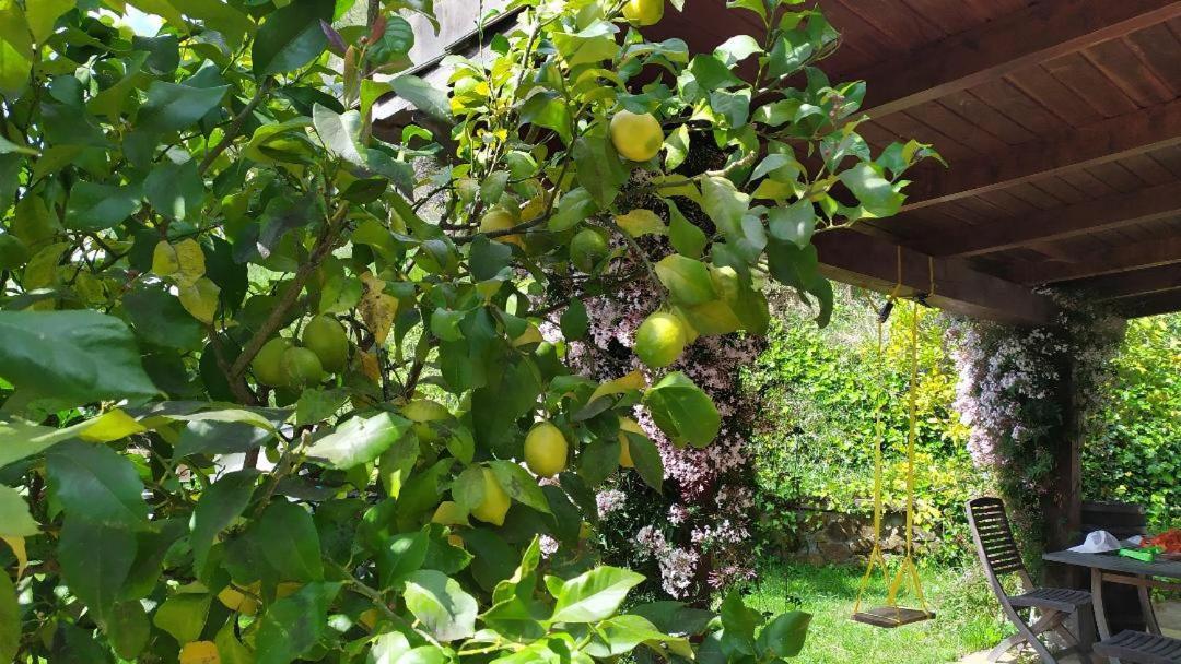 Casa Rural Goiena มุนเฮีย ภายนอก รูปภาพ